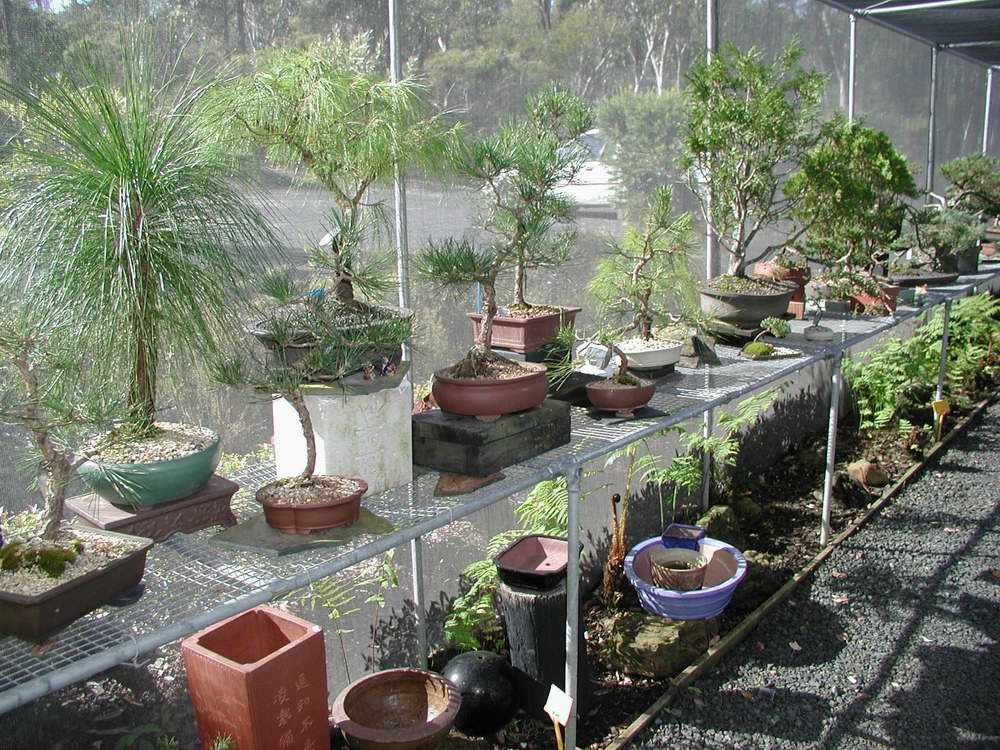 Click on image to go BACK.